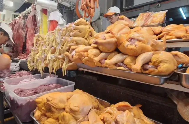 Caída del precio del pollo provoca pérdidas en la avicultura boliviana