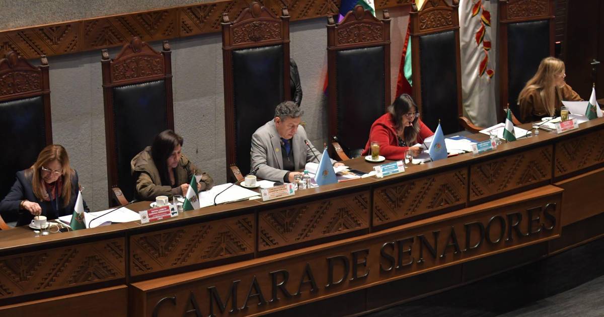 Senadores decidirán el jueves sobre préstamo del BID para saneamiento de tierras