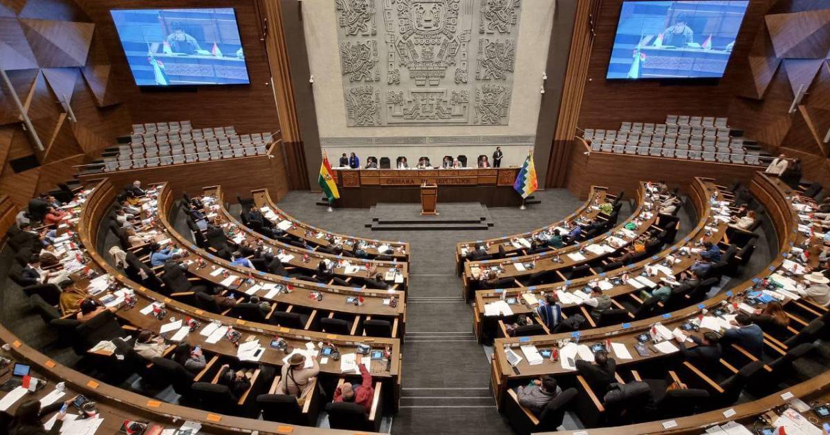 Aprobación de financiamiento del FMI en la Cámara de Diputados avanza a pleno