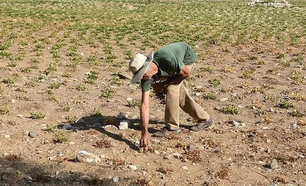 Las advertencias de la Cepal sobre El Niño y su impacto en la economía latinoamericana