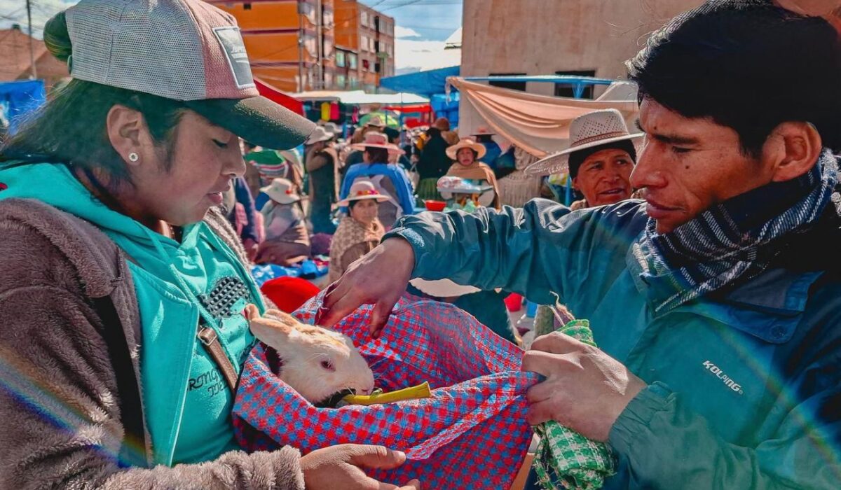 Refuerzan control de venta de mascotas en Oruro