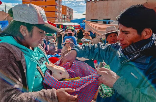 Refuerzan control de venta de mascotas en Oruro