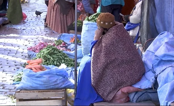Aumento de precios en productos básicos tras el ajuste del diésel