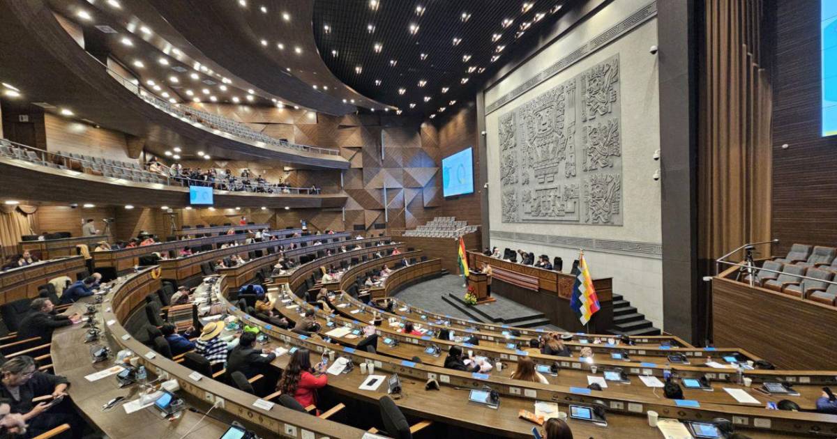 Posiciones encontradas sobre el Estado de excepción en Bolivia