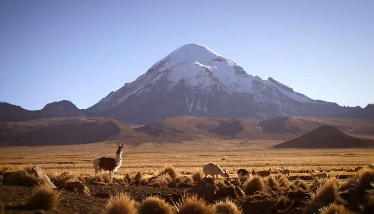 El Parque Nacional Sajama como eje del turismo local en Oruro