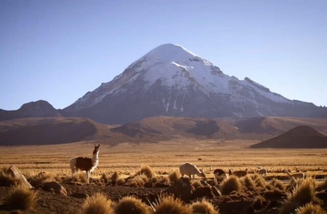 El Parque Nacional Sajama como eje del turismo local en Oruro