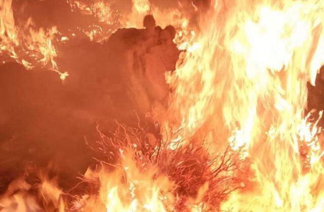 Incendio forestal en Challapata consume 200 hectáreas