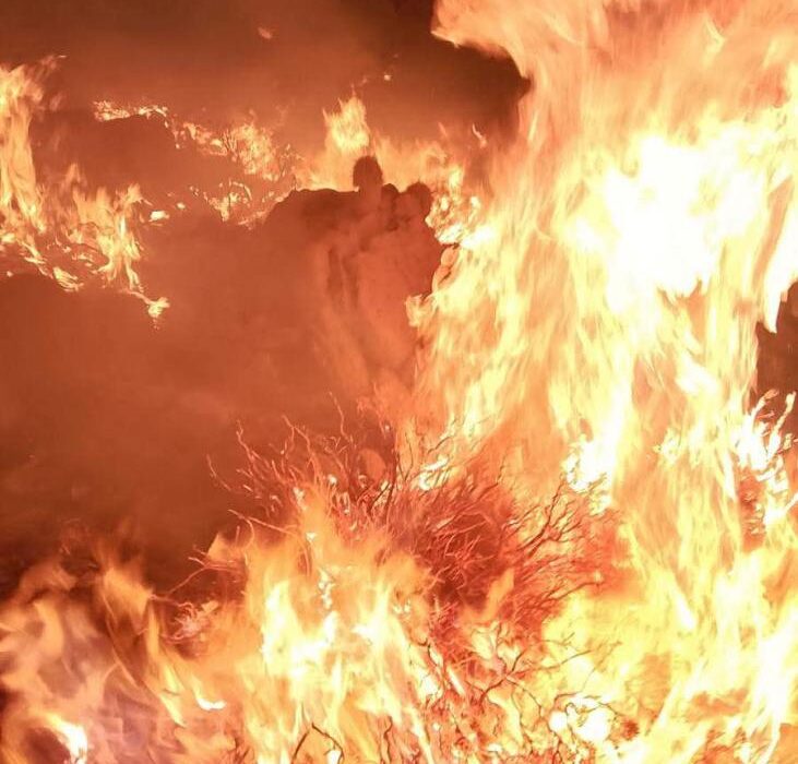 Incendio forestal en Challapata consume 200 hectáreas