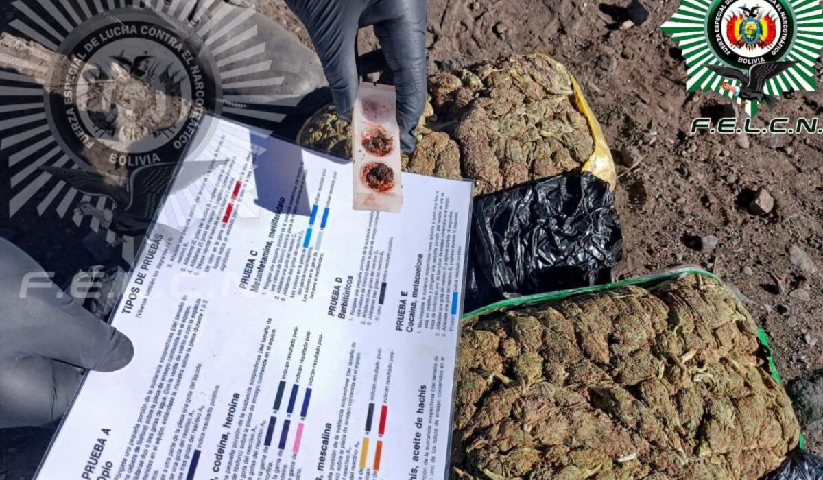 Detenidos dos bolivianos con 50 cápsulas de cocaína en la frontera
