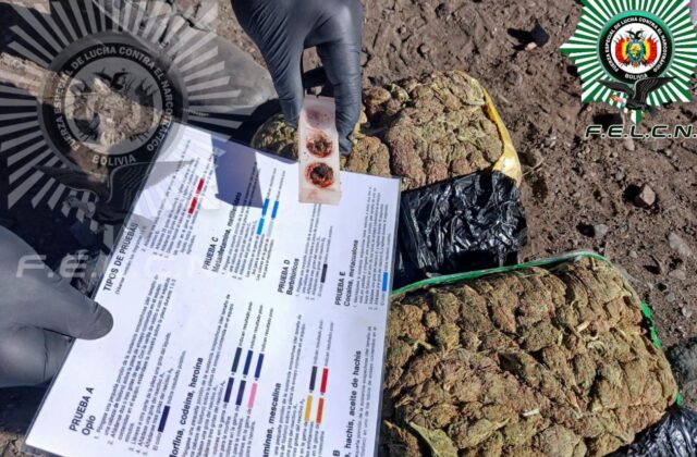 Detenidos dos bolivianos con 50 cápsulas de cocaína en la frontera