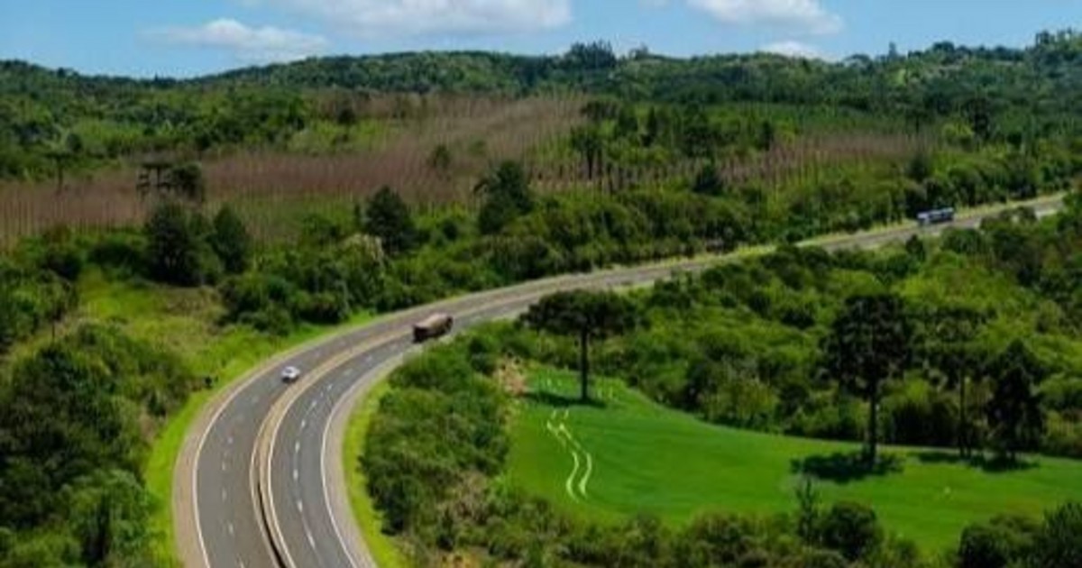 Brasil establece áreas protegidas en medio de la controversia por la carretera BR-319