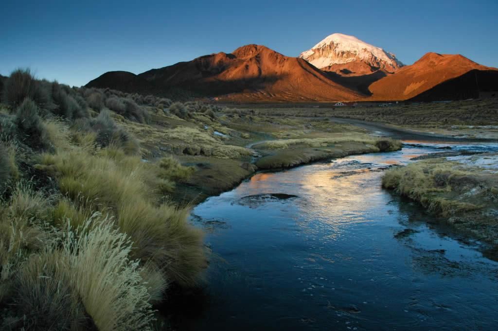 Impacto del Cambio Climático en la Primavera Oruñeña