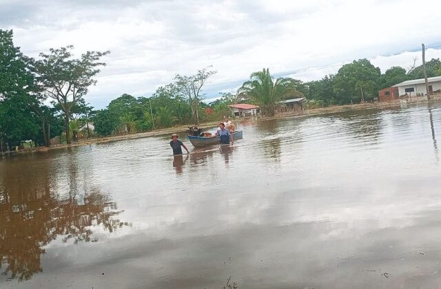 Intensas lluvias afectan siembra en el Norte de Santa Cruz