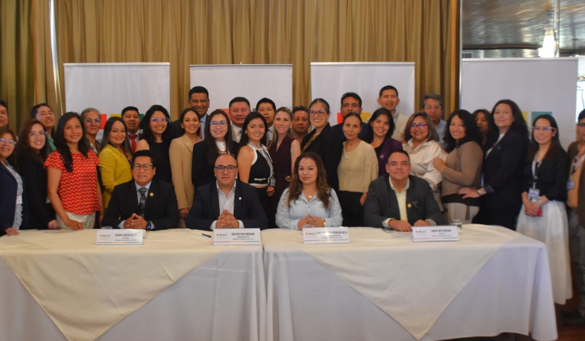 Continuará la Reforma Electoral en Bolivia hasta 2026