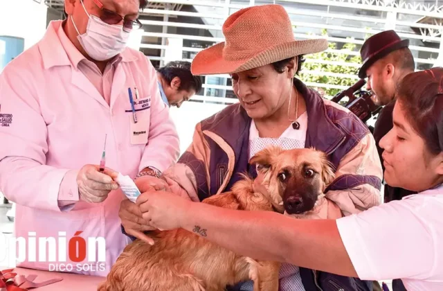 Inicia la Campaña Nacional de Vacunación Antirrábica para Mascotas