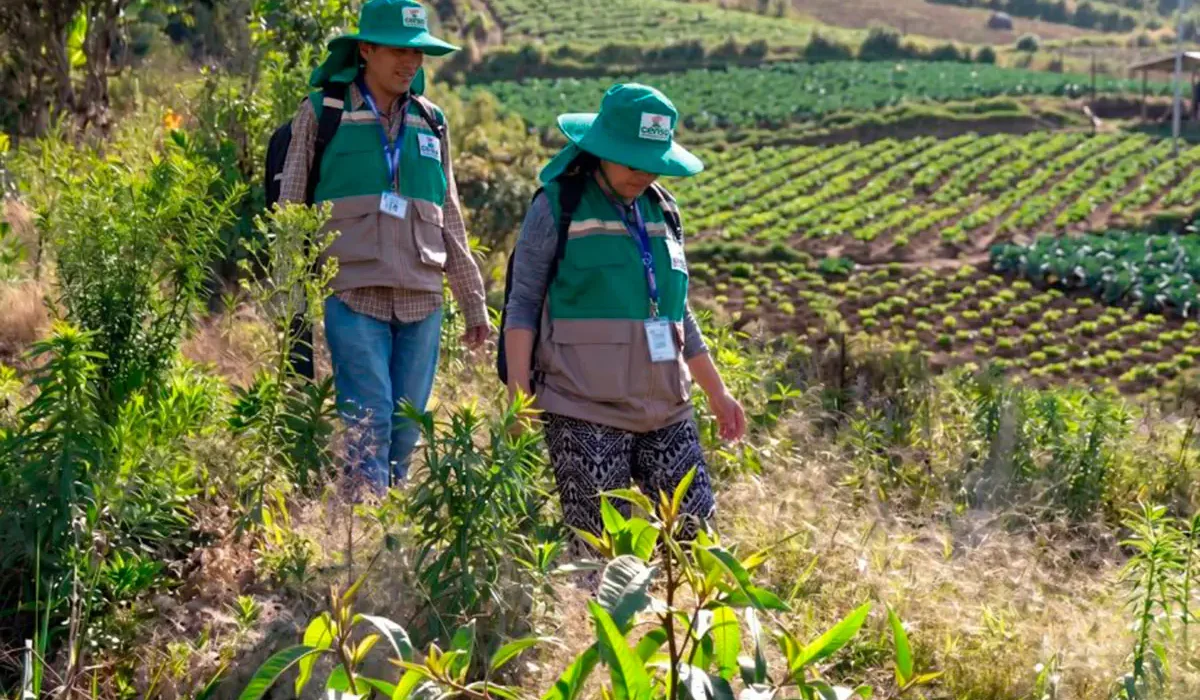 Inicio del Censo Agropecuario 2026 en Cuatro Departamentos