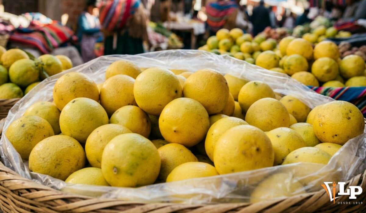 Aumento sorprendente en exportaciones de limón boliviano
