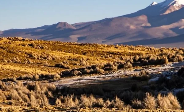 Bolivia implementa nueva estrategia de conservación de la biodiversidad