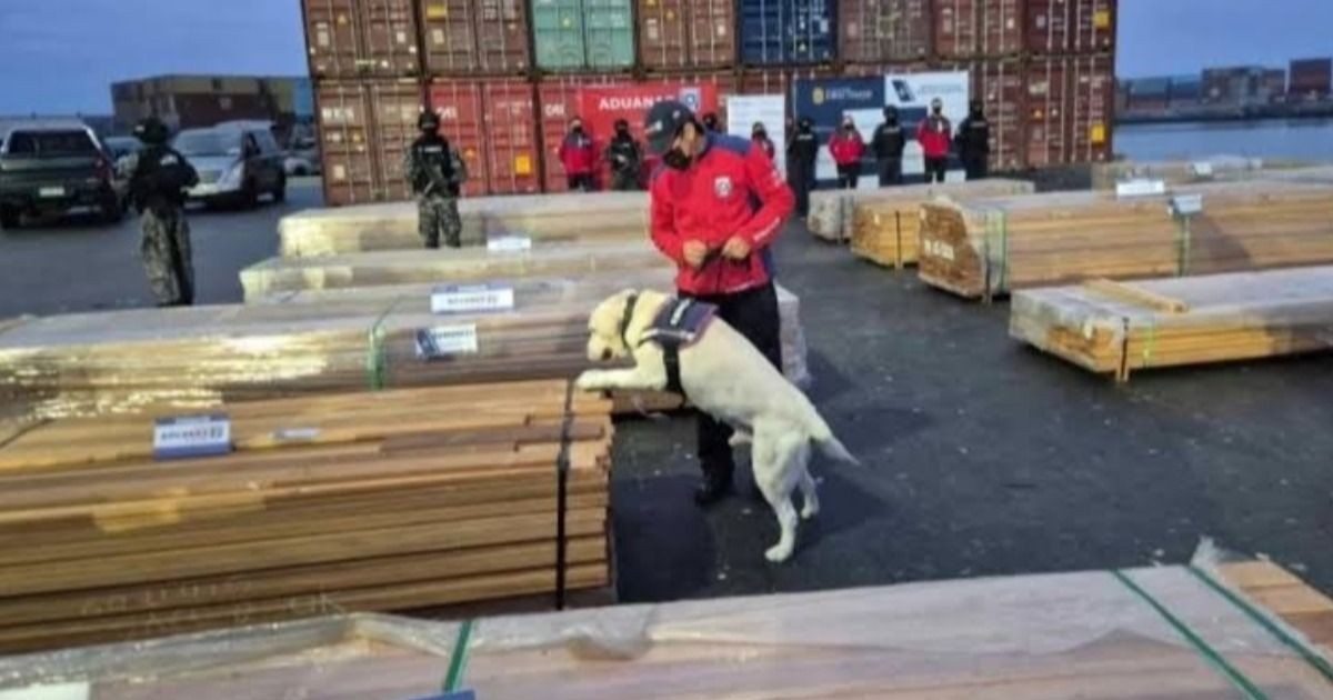 IBCE denuncia la retención de madera boliviana en Chile como una injusticia