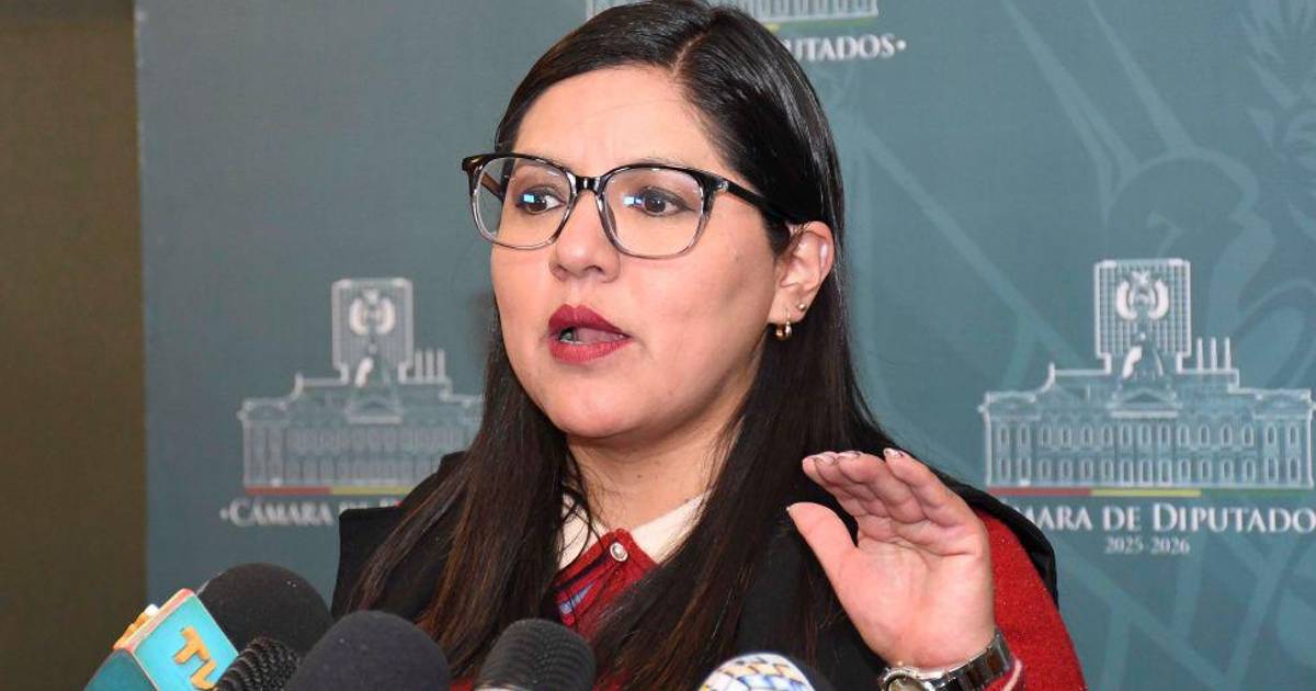 Lissa Claros advierte sobre la influencia de grupos de poder en la alianza Libre