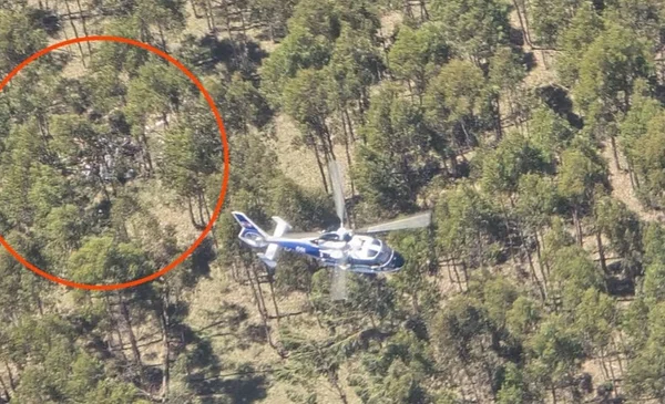 Accidente aéreo en Uruguay: fallece piloto en colisión de aeronaves