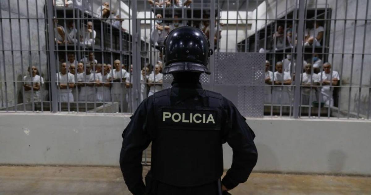 Familias salvadoreñas enfrentan la adversidad tras la represión del régimen de excepción