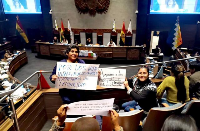 Nuevo reglamento del Gobierno para proteger a huérfanos por feminicidio