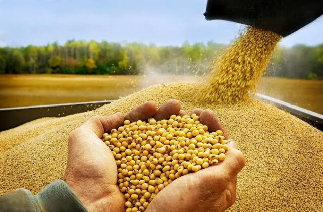 Anapo exige al Gobierno la total liberación de exportaciones agrícolas