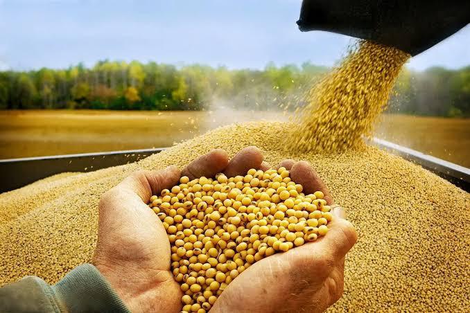 Anapo exige al Gobierno la total liberación de exportaciones agrícolas