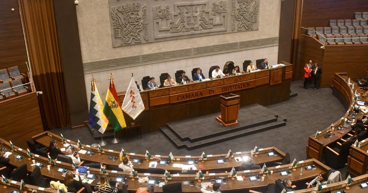 Críticas de la oposición ante la falta de leyes clave en la ALP