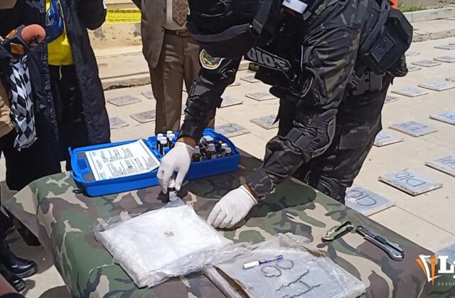 Desmantelamiento de red de narcotráfico en Oruro: 330 kg de drogas incautados