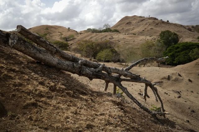 La OEA advierte sobre los riesgos de El Niño en América Latina